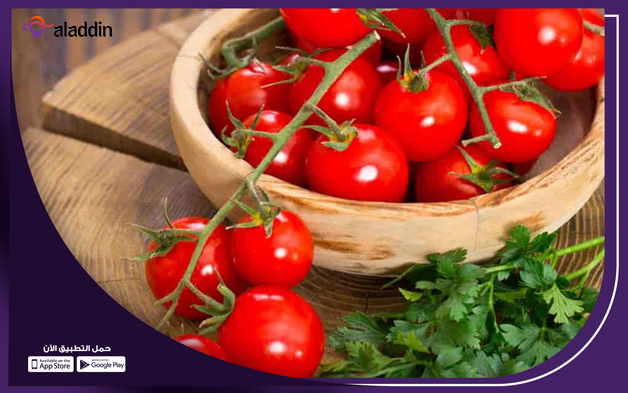 دراسة-جدوى-مشروع-تجفيف-الطماطم