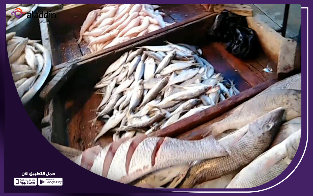 شروط-و-تكلفة-مشروع-محل-سمك