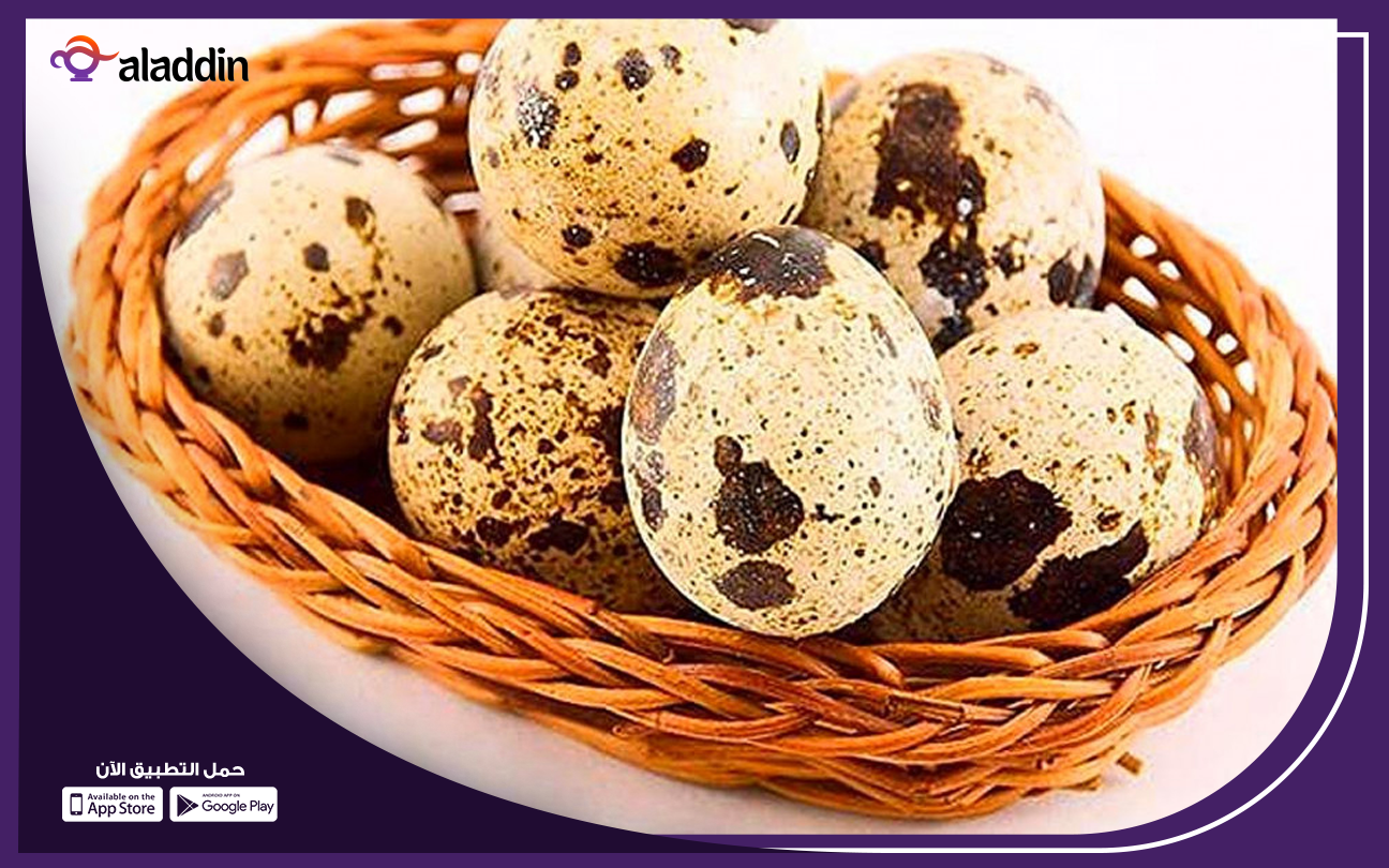 دراسة-جدوى-مشروع-تربية-السمان